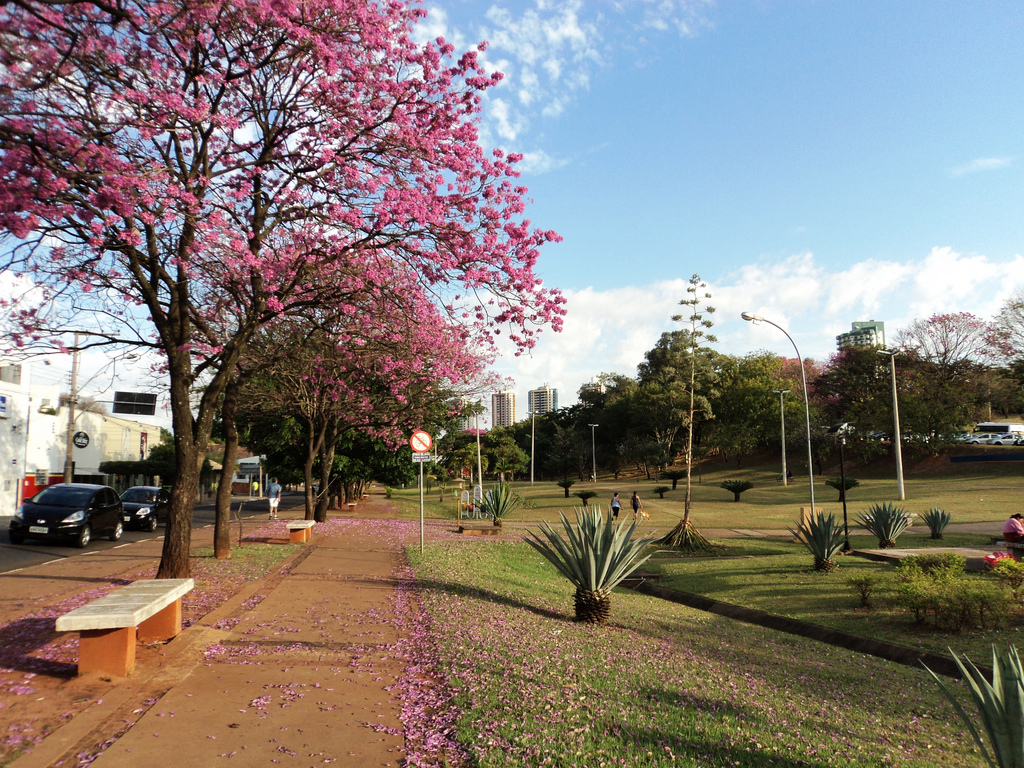 Parque do Povo de Prudente